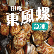 印度東風螺 (約454g)