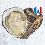  法國 White Pearl 白珍珠蠔  No.2  <6隻> 