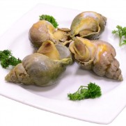 加拿大翡翠螺L (約4-6隻入 約500g)