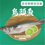 活凍烏頭魚 (已去除魚鱗及內臟) (約350-400g) (急凍)