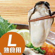 日本廣島蠔 L (約28-35隻入 約1kg)