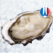  法國 KYS Marine No.2