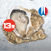  法國 Cavalerie8 騎士團8號特選 No.2 <13隻>