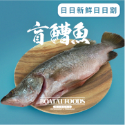 活凍盲鰽魚 (已去除魚鱗及內臟) (約450-500克) (急凍)《只限送貨》
