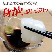 墨魚刺身 (20片入)