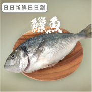 鱲魚 (已去除魚鱗及內臟) (約450-500克) (急凍)《只限送貨》