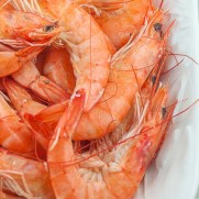 越南ASC熟白蝦 (約454g)