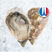 法國 Gillardeau 吉拉多蠔 No.2