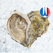 FR Speciale de Claire No.2 (法國特級芬大奇蠔No.2)