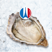   FR Ecaille d' Argent Oyster No.1 (法國依卡迪蠔 No.1)