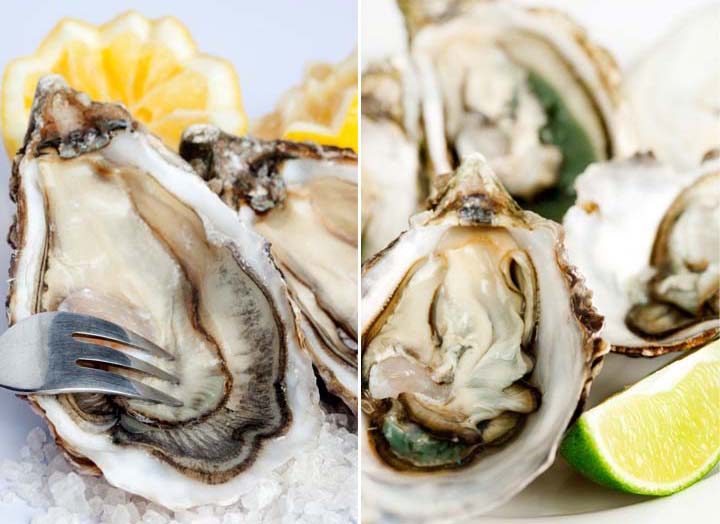 11262cdff257ec3be7073fb1feef330a-720x3497-rev.jpg 11262cdff257ec3be7073fb1feef330a-720x3497-rev.jpg