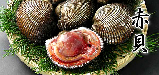 2-00411-zoom.jpg 2-00411-zoom.jpg