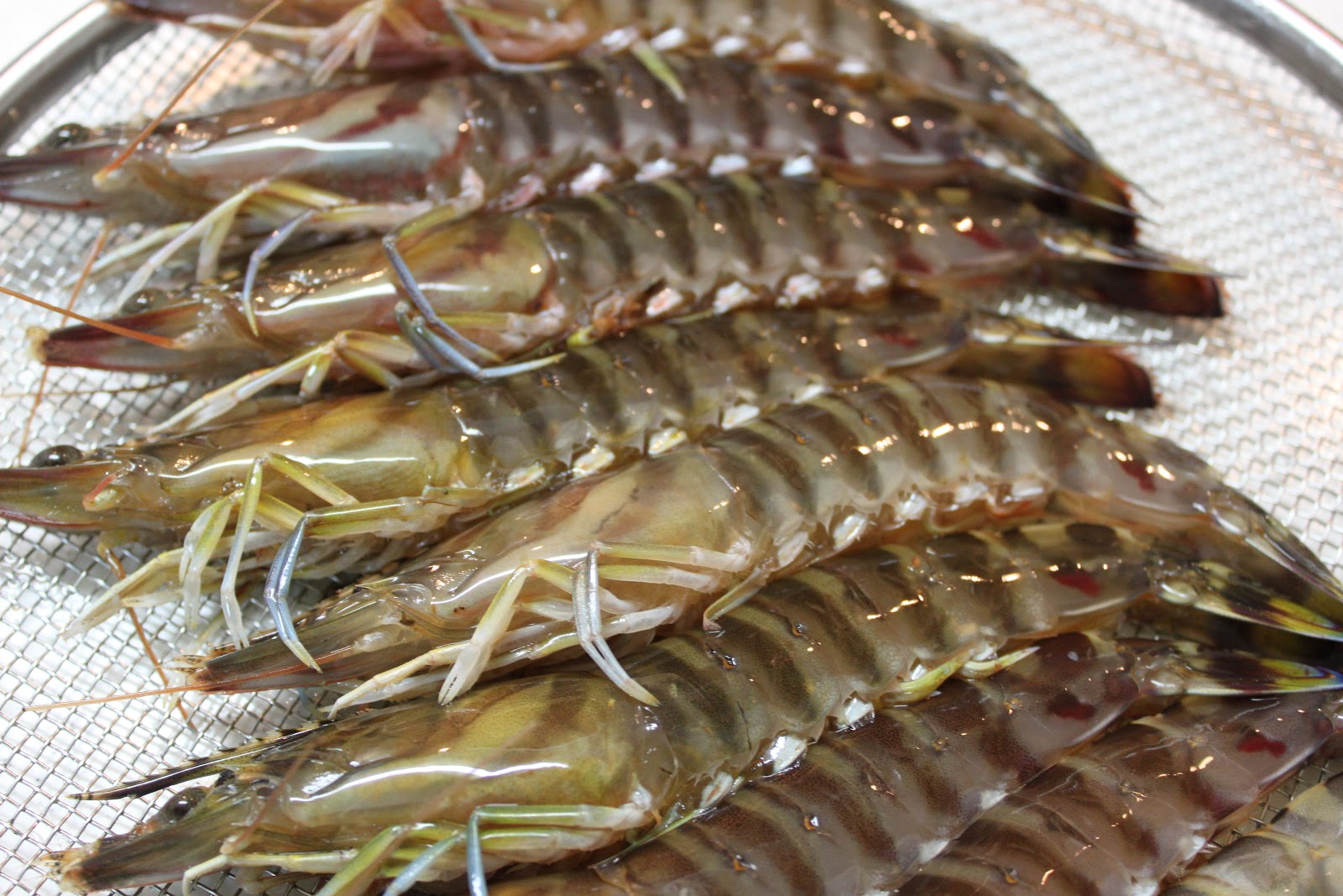 20121020-005.jpg 20121020-005.jpg