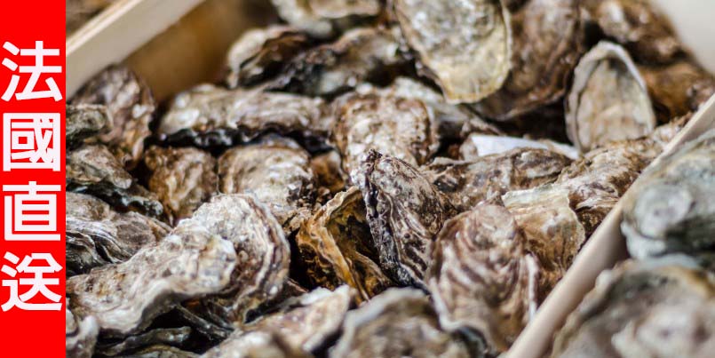 28032013-dsc-0293-805x403.jpg 28032013-dsc-0293-805x403.jpg