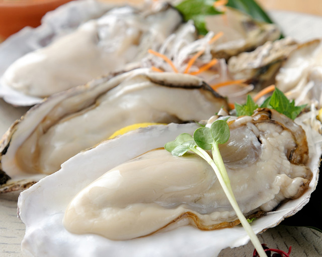 8e4f0-jpg.jpg 8e4f0-jpg.jpg