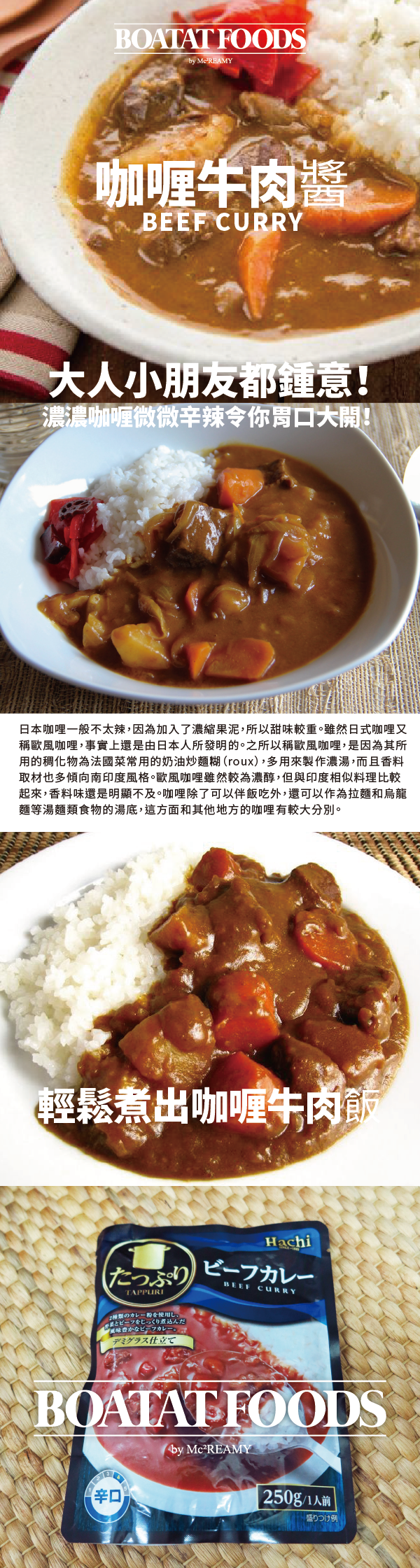 beefcurryspicy-01.png