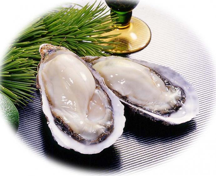 d9ddb-7-.jpg d9ddb-7-.jpg