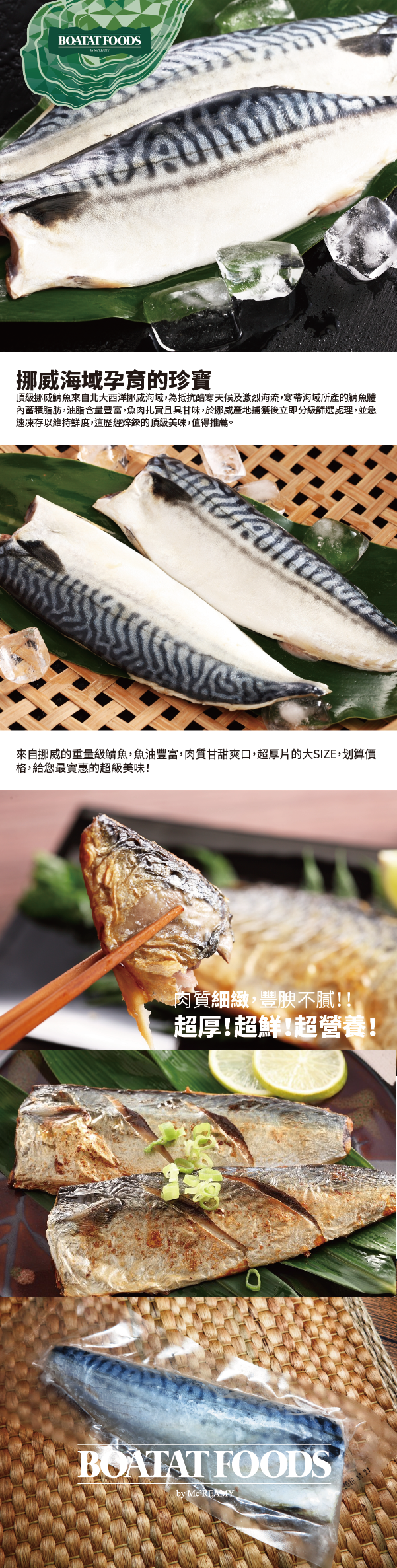 mackerel-01.png