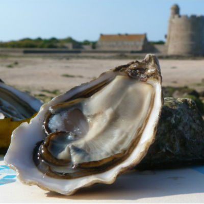 st-vaast1393471797.jpg st-vaast1393471797.jpg