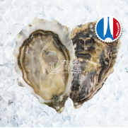 FR Speciales Lambert No.2  (法國林柏特生蠔 No.2)