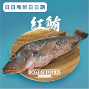 紅鮪 (已去除魚鱗及內臟) (約300-350克) (急凍)《只限送貨》