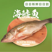活凍海鱸魚 (已去除魚鱗及內臟) (約350-400克) (急凍)《只限送貨》